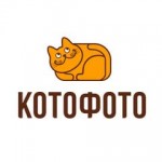 Отзывы людей о КотоФото